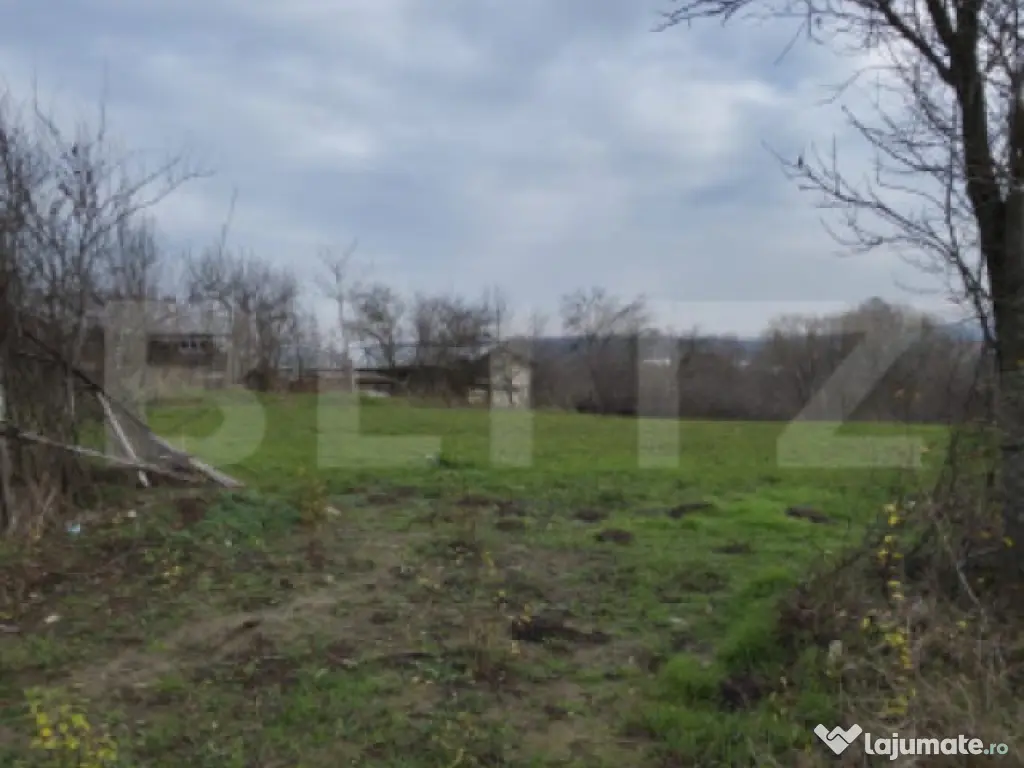 Teren intravilan 3000mp ,sat Plopu, Prahova