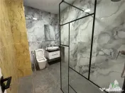 Vila premium cu destinatie mixta, comercial si rezidential 