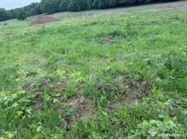 Teren de vanzare, zona linistita