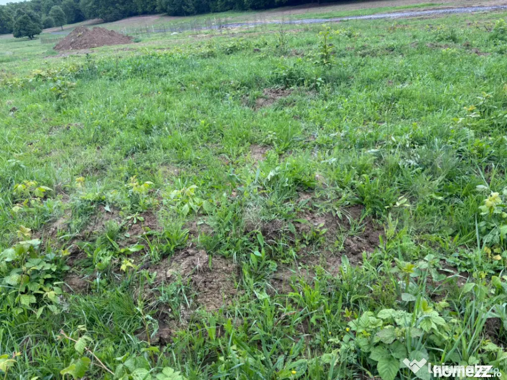 Teren de vanzare, zona linistita - Zalau (Salaj)