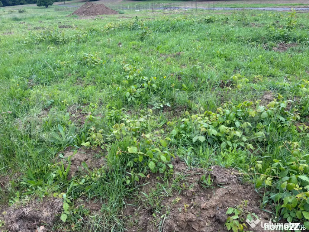 Teren de vanzare, zona linistita - Zalau (Salaj)
