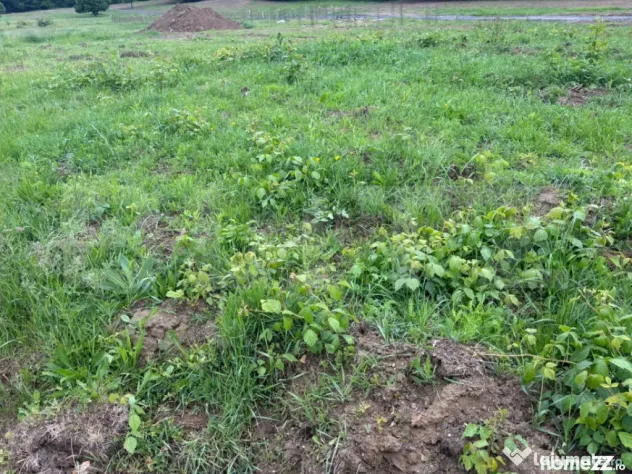 Teren de vanzare, zona linistita - Zalau (Salaj)