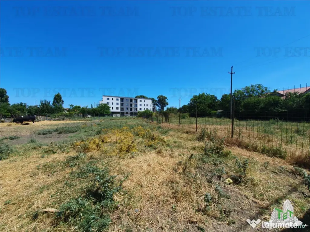 Teren constructii 981 mp Palazu Mare in zona Elvila-Lac