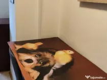 Berceni brancoveanu luica bloc nou