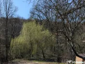 Hemeius/Teren cu deschidere la pădure și pârâu/certifica 