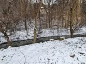 Hemeius/Teren cu deschidere la pădure și pârâu/certifica 