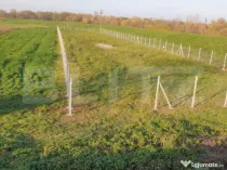 Teren intravilan, 1900 mp, zona Ambud