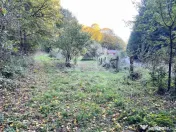 Teren pentru casa de vacanta pe Valea Bratcutei, Bihor 