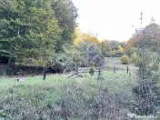 Teren pentru casa de vacanta pe Valea Bratcutei, Bihor 