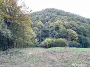 Teren pentru casa de vacanta pe Valea Bratcutei, Bihor 