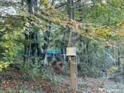 Teren pentru casa de vacanta pe Valea Bratcutei, Bihor 