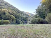 Teren pentru casa de vacanta pe Valea Bratcutei, Bihor 