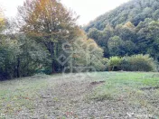 Teren pentru casa de vacanta pe Valea Bratcutei, Bihor 