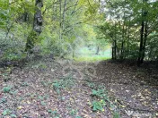 Teren pentru casa de vacanta pe Valea Bratcutei, Bihor 