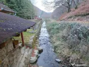 Casa/Pensiune,doua imobile „intr-unul singur” de vanzare, Valea Bratcu 