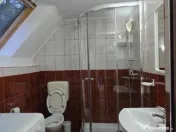 Casa/Pensiune,doua imobile „intr-unul singur” de vanzare, Valea Bratcu 