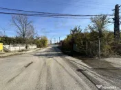 Proprietate industriala(teren + constructii)zona Pitesti/Arp 