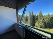 Apartament 2 camere/ Silver Mountain Resort & Spa 