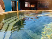 Pensiune Calimanesti jud.Valcea posibiliatate RATE 