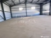 Hale noi de inchiriat Domnesti / Centura 