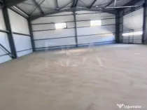 Hale noi de inchiriat Domnesti / Centura