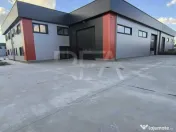 Hale noi de inchiriat Domnesti / Centura 