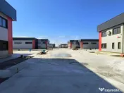 Hale noi de inchiriat Domnesti / Centura 