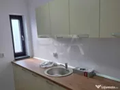 Hale noi de inchiriat Domnesti / Centura 