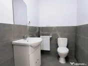 Hale noi de inchiriat Domnesti / Centura 