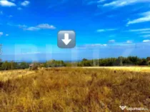 Teren extravilan 4265 mp, in Dangaul Mare - EXCLUSIVITATE