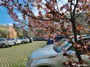 Parcul Catedralei- Apartament două camere, mobilat și util 