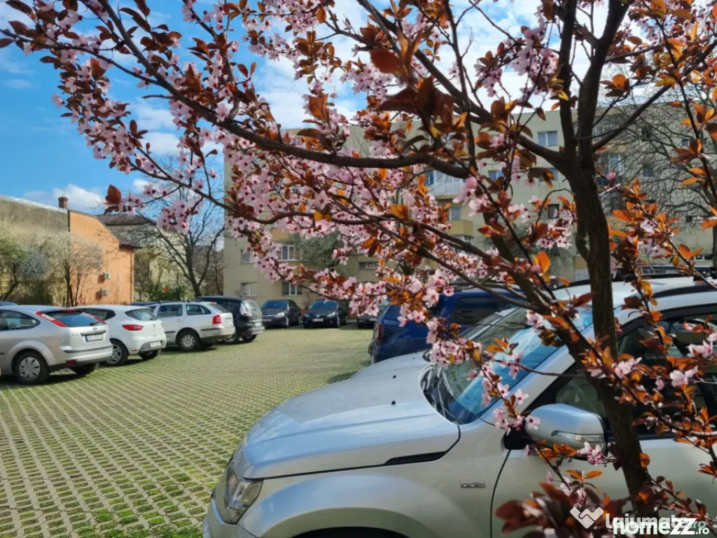 Parcul Catedralei/zonă excelentă/2 camere/mobilat/parcare