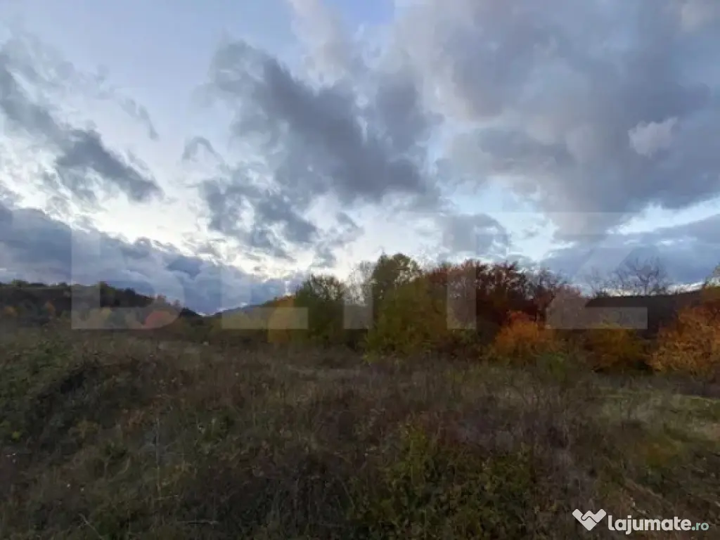 Teren de vânzare – Râmeț, jud. Alba