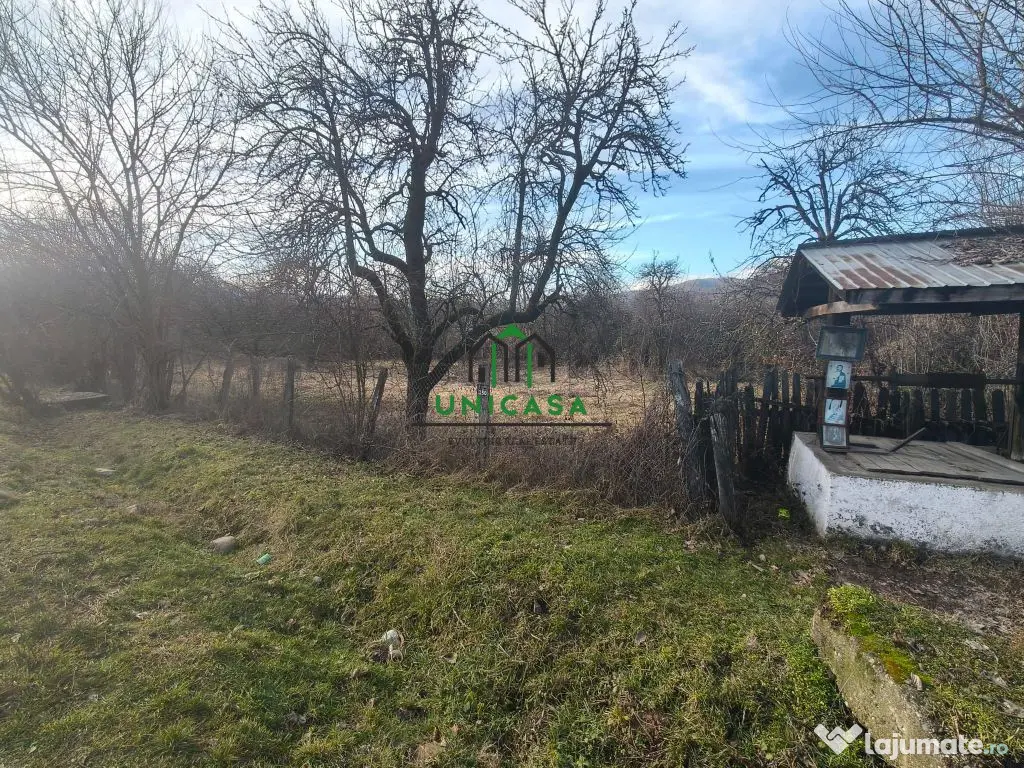 Teren Daesti / 814mp