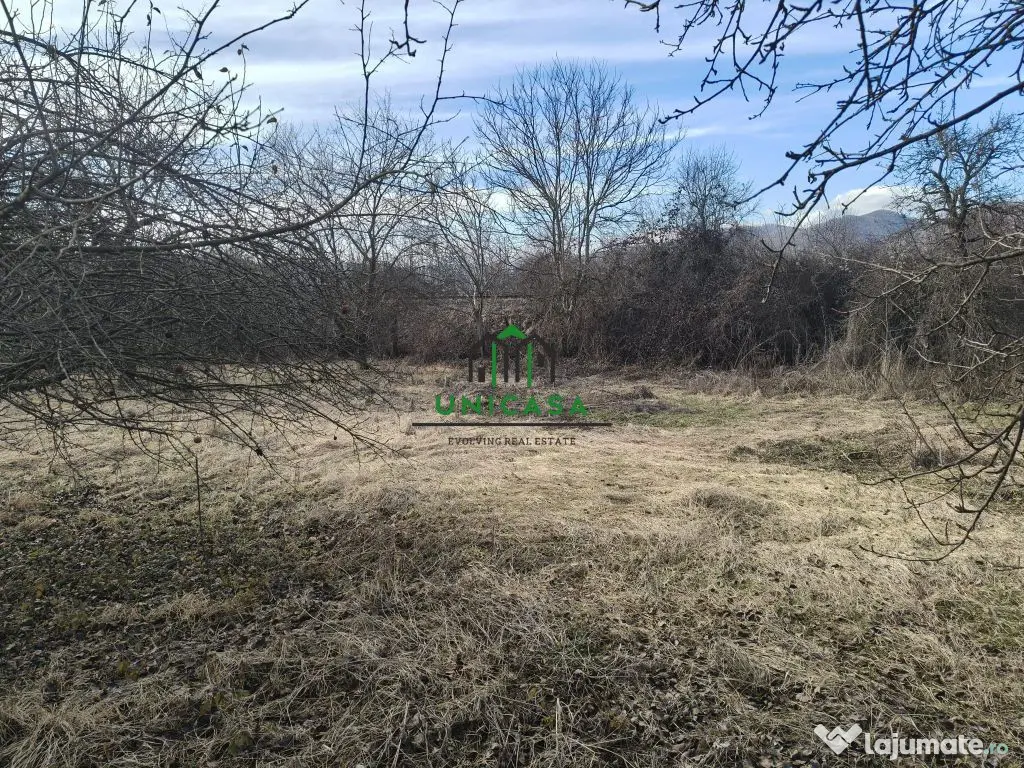 Teren Daesti / 814mp