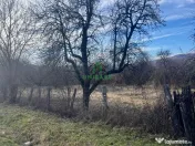 Teren Daesti / 814mp 