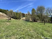 Teren de vanzare Rachitele | Investitie | Comision 0% 