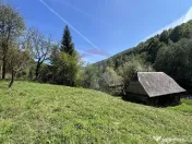 Teren de vanzare Rachitele | Investitie | Comision 0% 