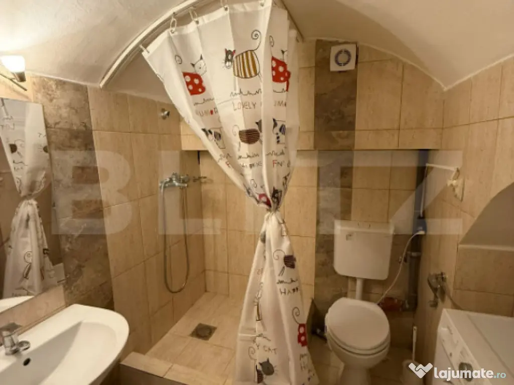 Apartament 2 camere, curte, ultracentral, 42MP