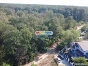 Vila cu garaj Padurea Pantelimon - 4 camere 