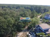 Vila cu garaj Padurea Pantelimon - 4 camere 