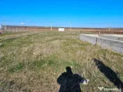 Teren 1000 mp, cu fundatie si elevatie, Dumbrava Rosie 