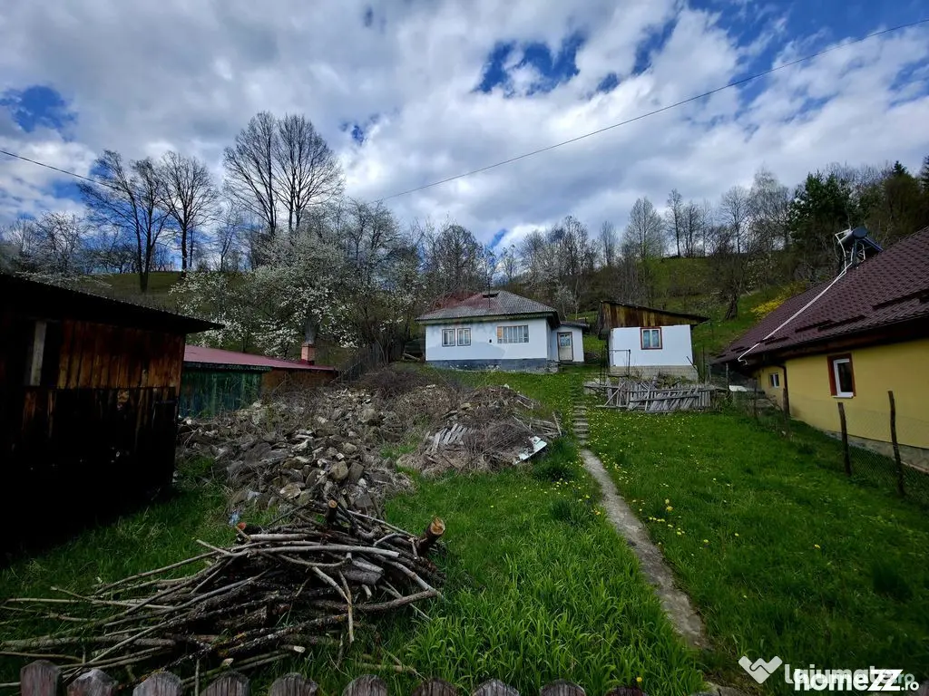 Teren 711mp Hangu / DN GROZAVESTI