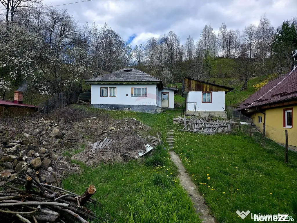 Teren 711mp Hangu / DN GROZAVESTI
