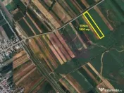 Cosoba, teren 7600 mp intravilan pe str Guliei 