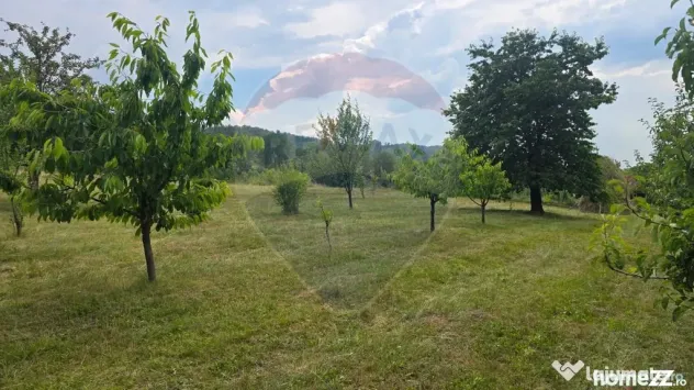Teren intravilan, de vânzare în Damiș- Bratca pe Strad...