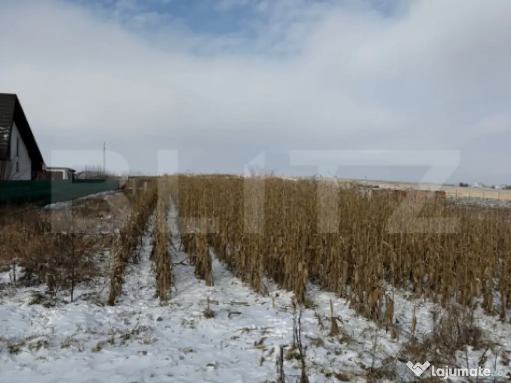 Teren extravilan, 33.6 ari, zona Frumoasa - Scheia.