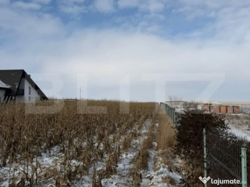 Teren extravilan, 33.6 ari, zona Frumoasa - Scheia.