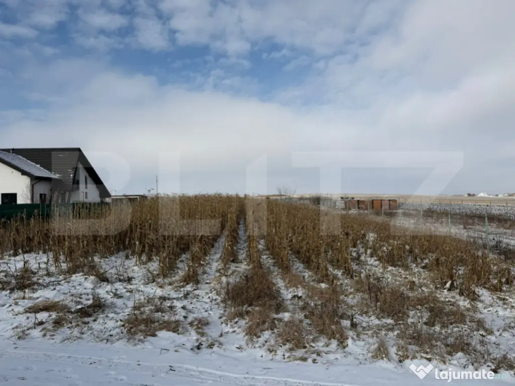 Teren extravilan, 33.6 ari, zona Frumoasa - Scheia.