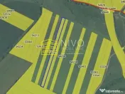 Teren extravilan – Sg. de Mureș 